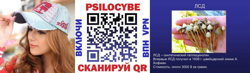 где продают наркотики  Красный Кут  Псилоцибиновые грибы Magic Shrooms 
